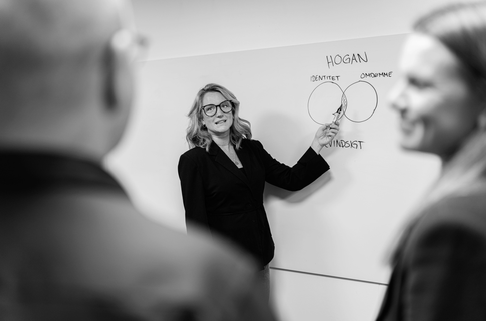 HOGAN illustration til ledelsesudvikling og coaching